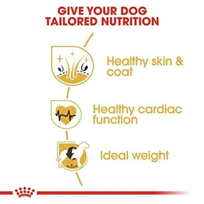 Royal Canin Golden Retriever Maxi Adult Dry Dog Food