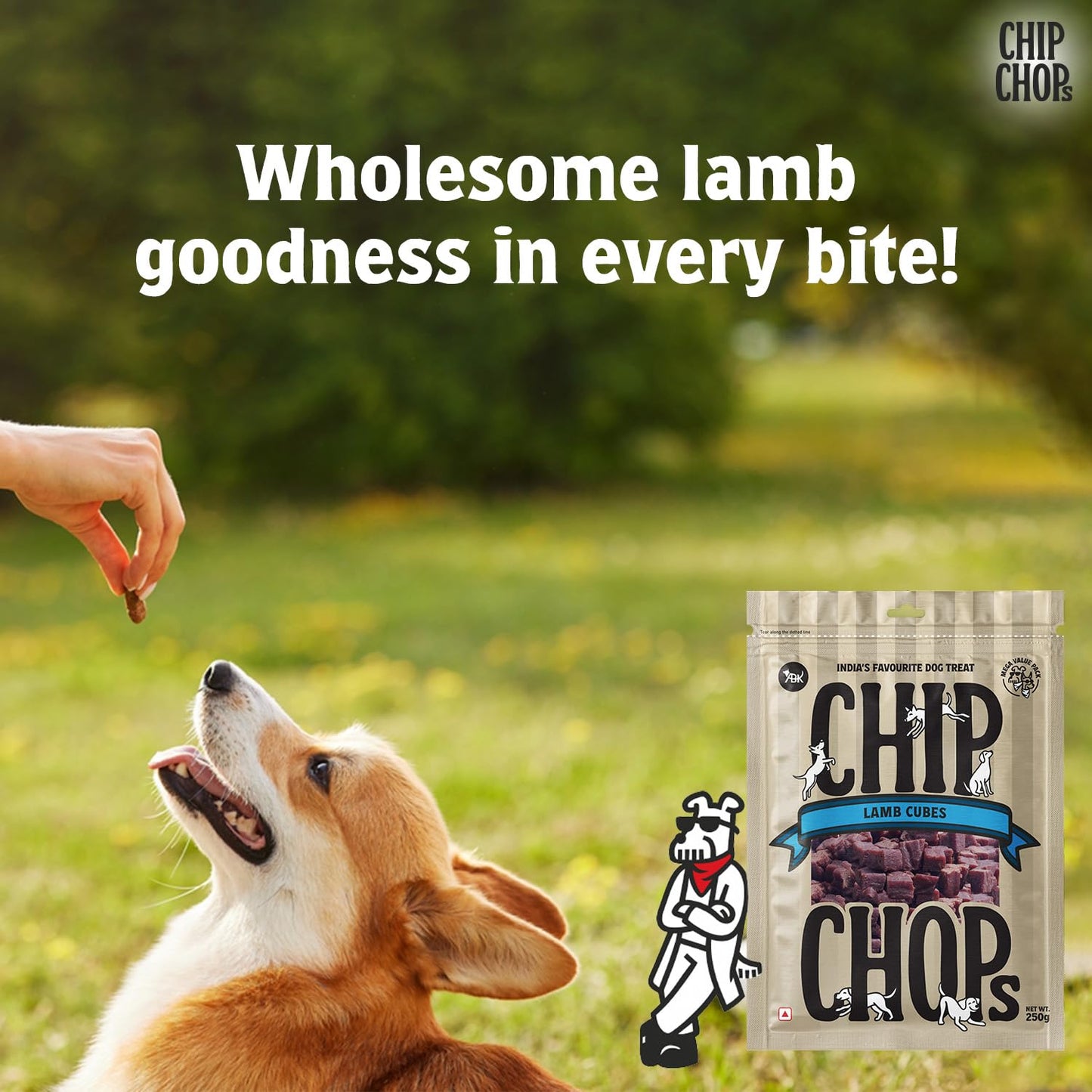 Chip Chops Lamb Cubes Dog Treats 250g