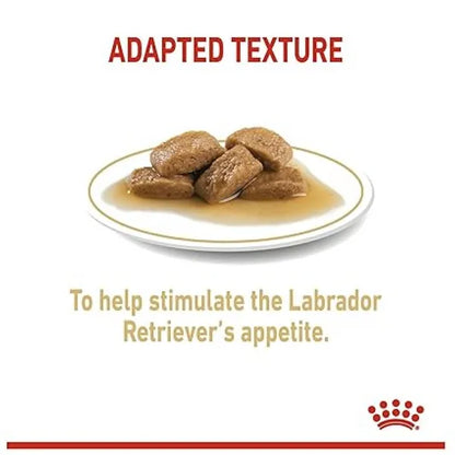 Royal Canin Labrador Retriever Maxi Adult Wet Dog Food