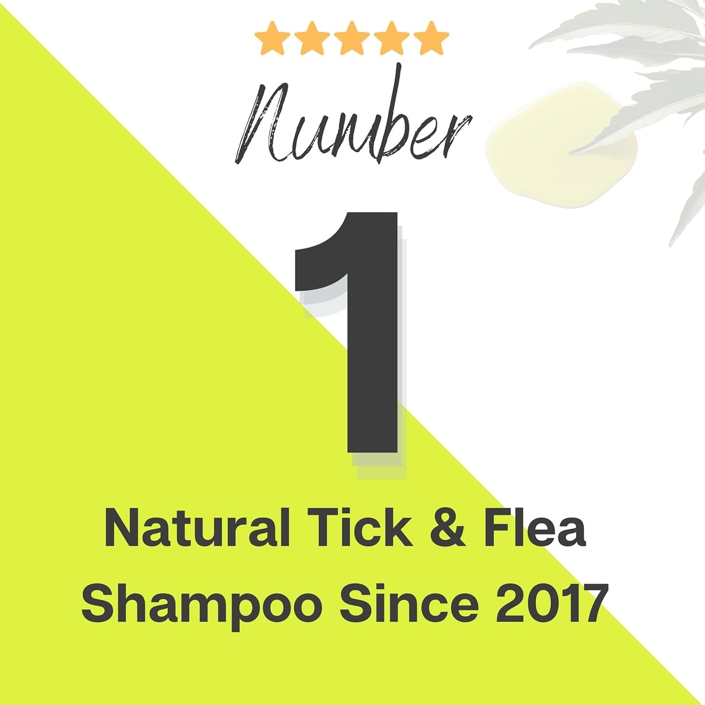 Dogz & Dudez Natural Neem Anti Tick and Flea Dog Shampoo