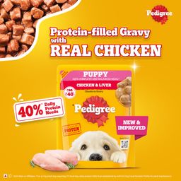Pedigree Puppy Wet Dog Food Chicken Chunks in Gravy Pouch