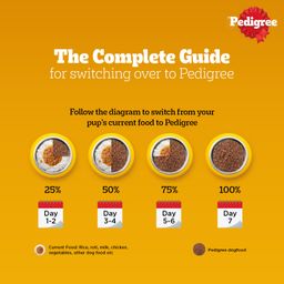 Pedigree Puppy Wet Dog Food with Chicken Chunks in Gravy 130 g