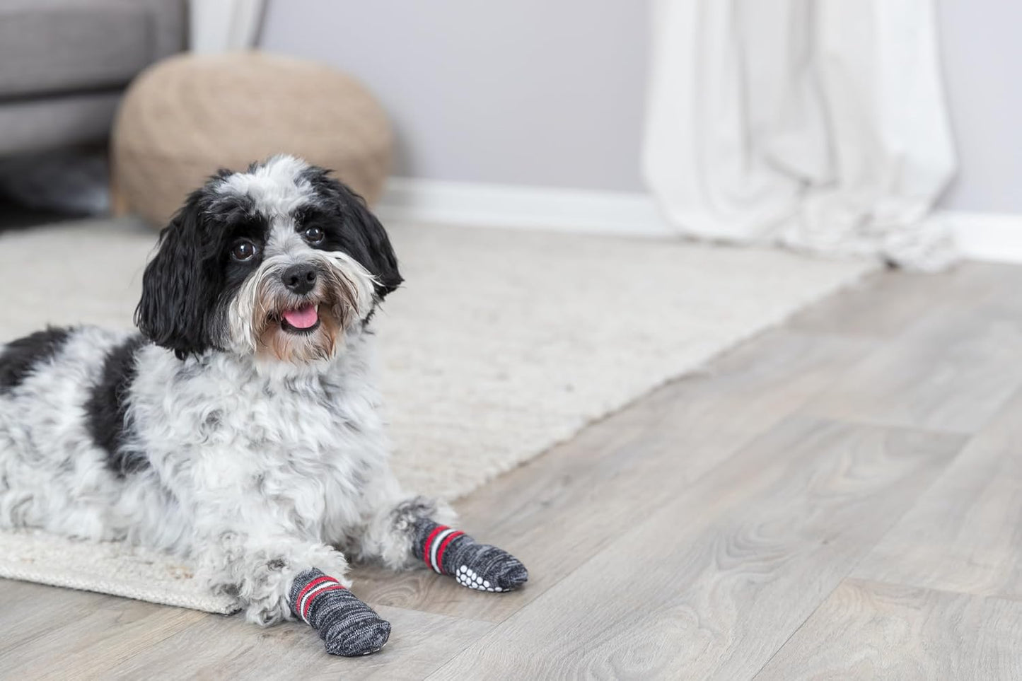 Trixie Non-Slip Grey Dog Socks, S-M