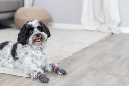 Trixie Non-Slip Grey Dog Socks, S-M
