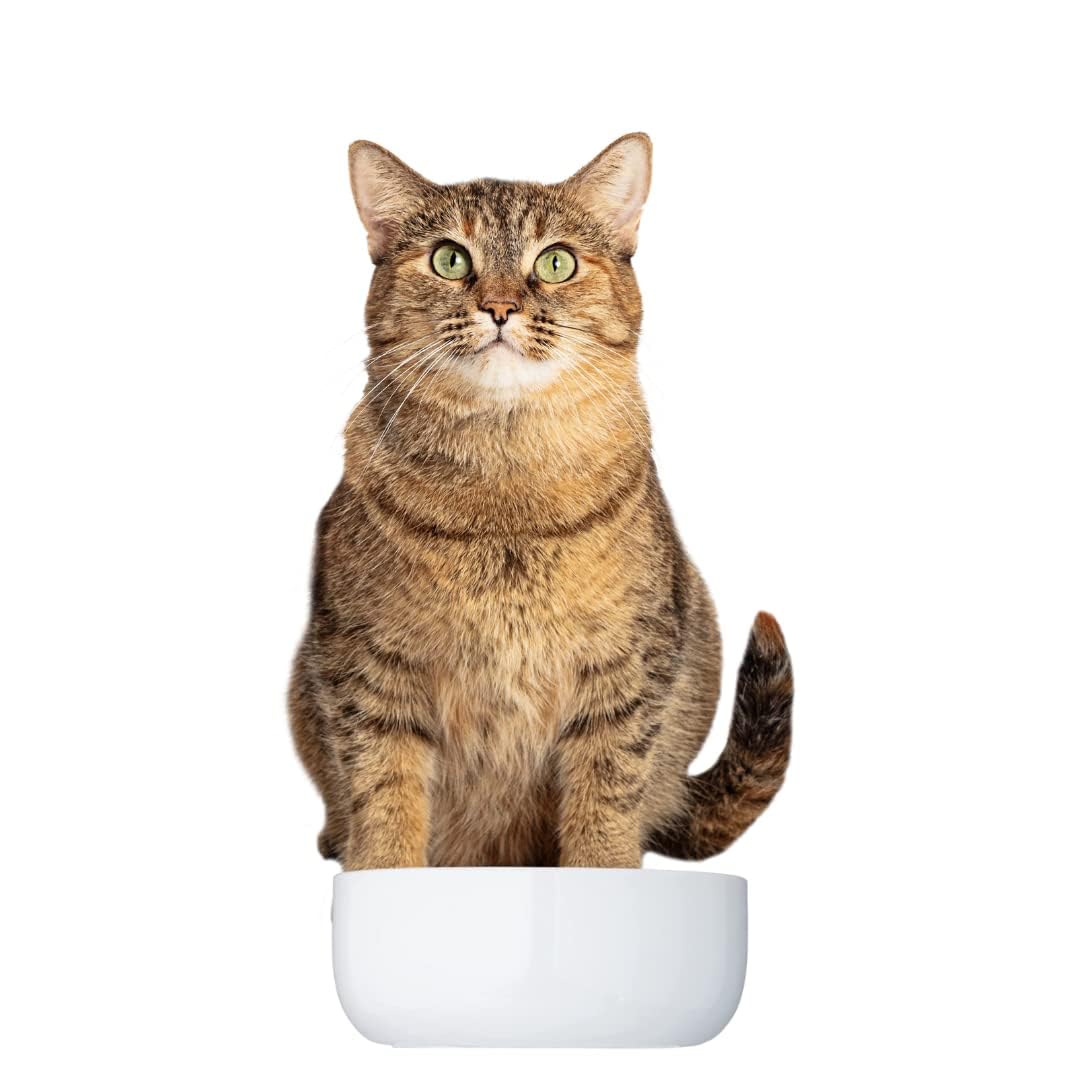 Trixie: - Cat Ceramic Small Bowl - 300ml