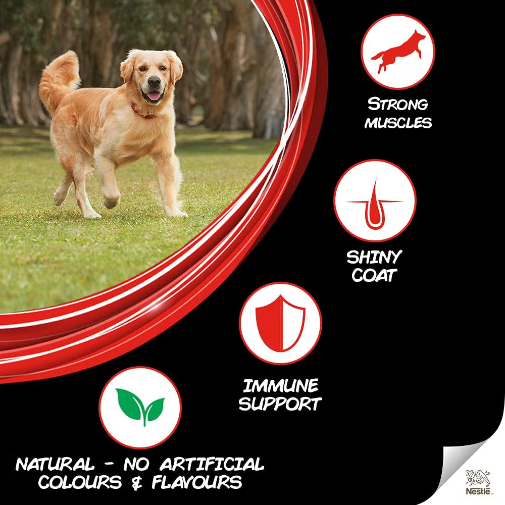 Purina Supercoat Adult All Breed Dry Dog Food with Chicken ( T )