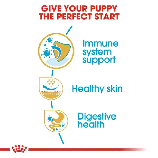 Royal Canin Pug Mini Puppy Dry Dog Food