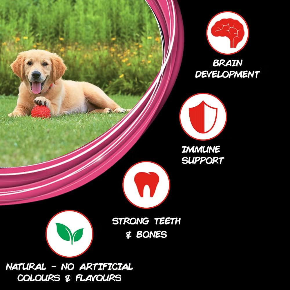 Purina Supercoat Puppy Chicken Dry Dog Food (T)