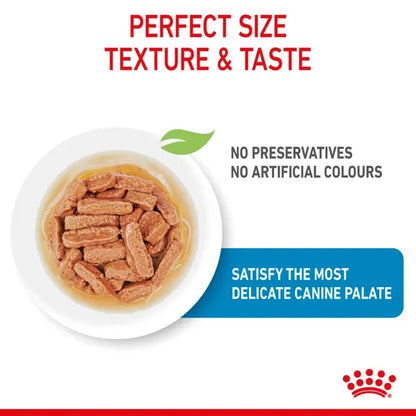 Royal Canin Medium Puppy Wet Dog Food