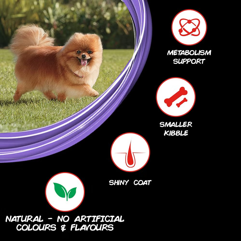 Purina Supercoat Adult Small Breed Dry Dog Food Chicken (T)