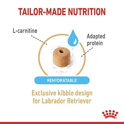 Royal Canin Labrador Retriever Maxi Adult 5+ Dry Dog Food 3KG