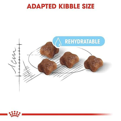 Royal Canin Kitten Mother and Baby Cat Dry Cat Food