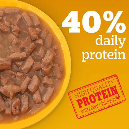 Pedigree Adult Roasted Lamb Flavour chunks in Gravy