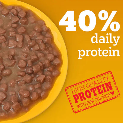 Pedigree Puppy Lamb Flavour Chunks in Gravy