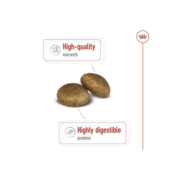 Royal Canin Maxi Adult Dry Dog Food