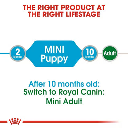 Royal Canin Mini Puppy Wet Food (T)