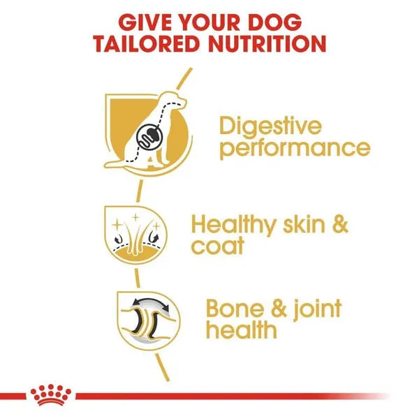 Royal Canin German Shepherd Maxi Adult Dry Dog Food