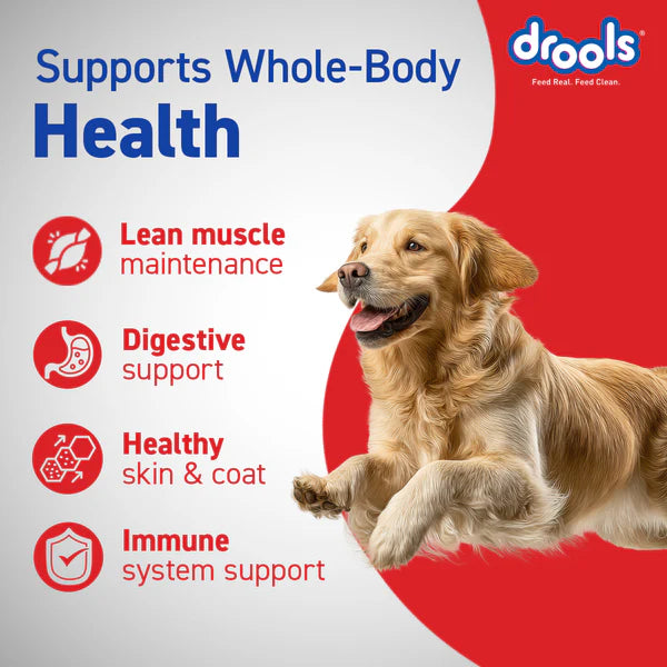 Drools Chicken and Egg Adult Dog Dry Food
