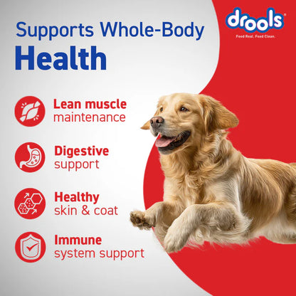 Drools Chicken and Egg Adult Dog Dry Food