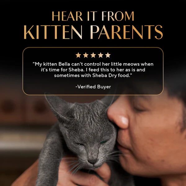 Sheba Chicken Loaf Rich Premium Kitten (2 to 12 Months) Fine Cat Wet Food