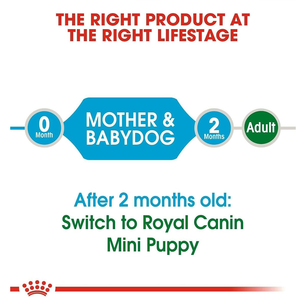Royal Canin Starter Mini Dry Dog Food