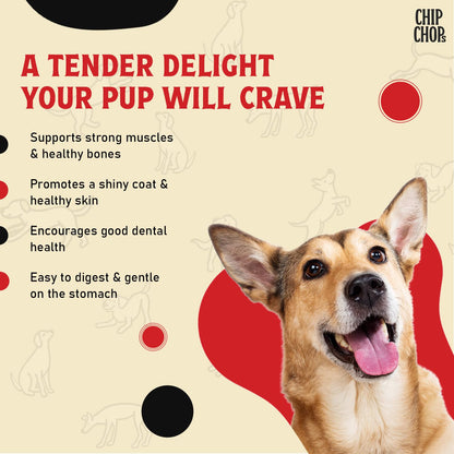 Chip Chops Sun Dried Chicken Jerky Dog Treat
