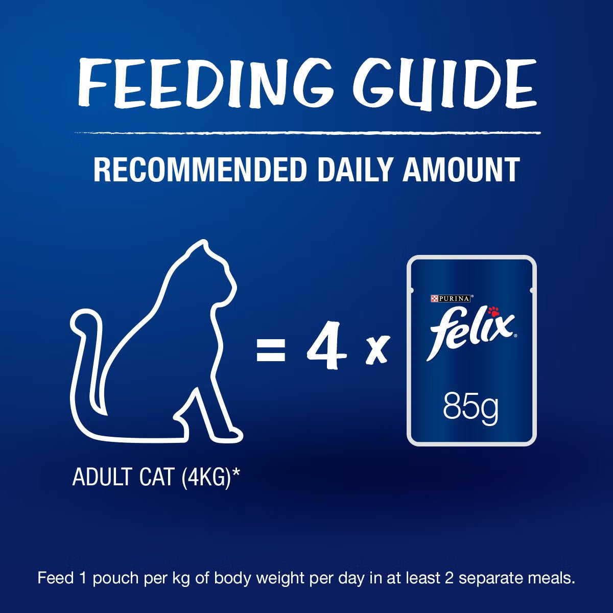 Purina Felix Salmon with Jelly Adult Cat Wet Food