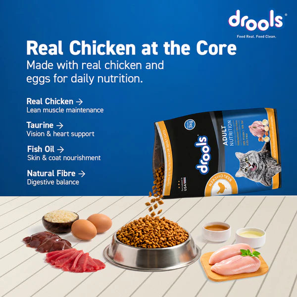 Drools Real Chicken Adult Cat Dry Food