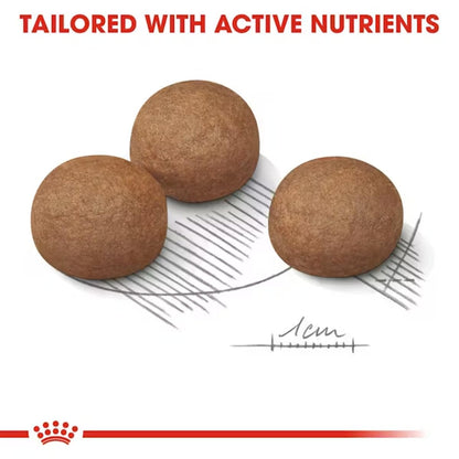 Royal Canin Digestive Care Maxi Dry Dog Food 3kg