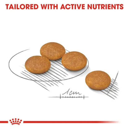 Royal Canin Dermacomfort Mini Dry Dog Food 1kg