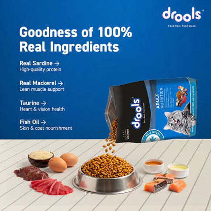 Drools Ocean Fish Adult Cat Dry Food