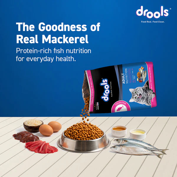 Drools Mackerel Adult Cat Dry Food