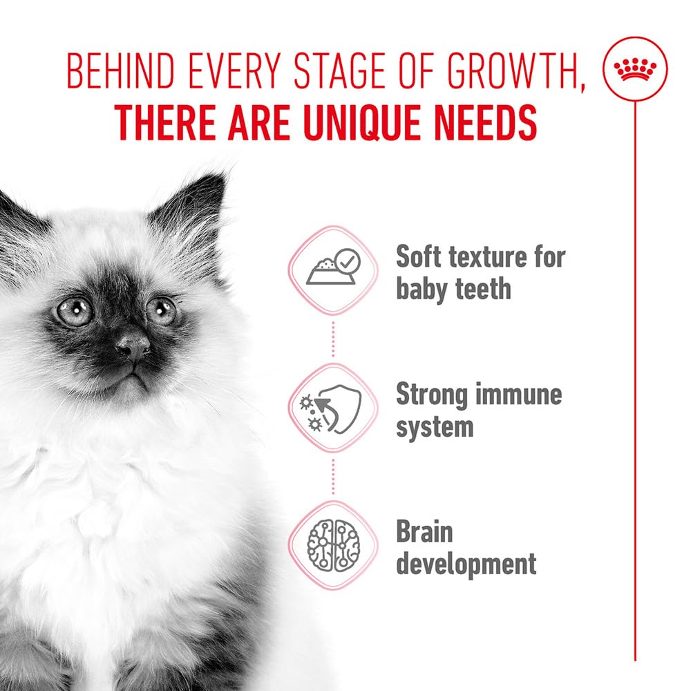 Royal Canin Kitten Wet Cat Food