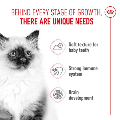 Royal Canin Kitten Wet Cat Food