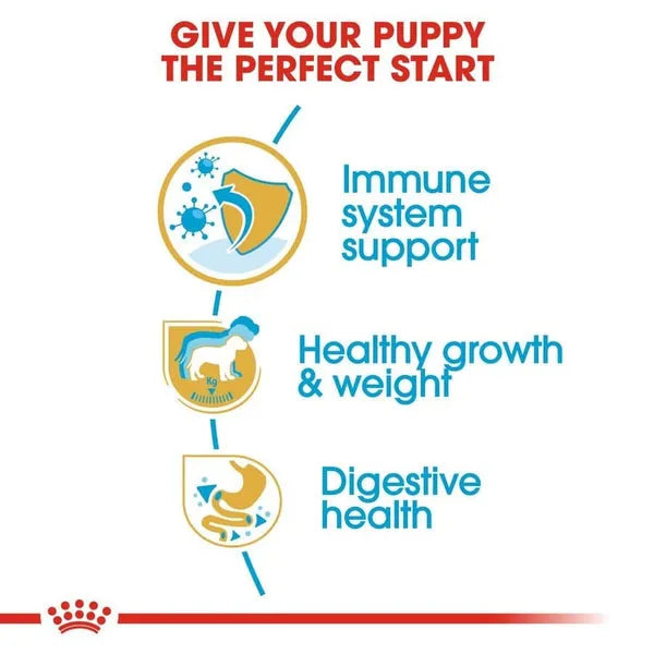 Royal Canin Labrador Retriever Maxi Puppy Dry Dog Food