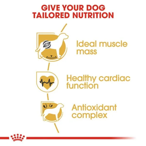 Royal Canin Boxer Maxi Adult Dry Dog Food