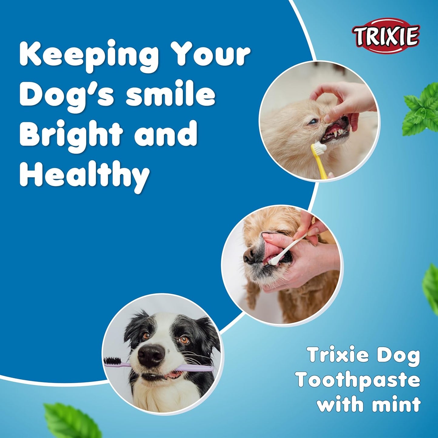 Trixie Mint Flavoured Toothpaste for Dogs - Pack of 2