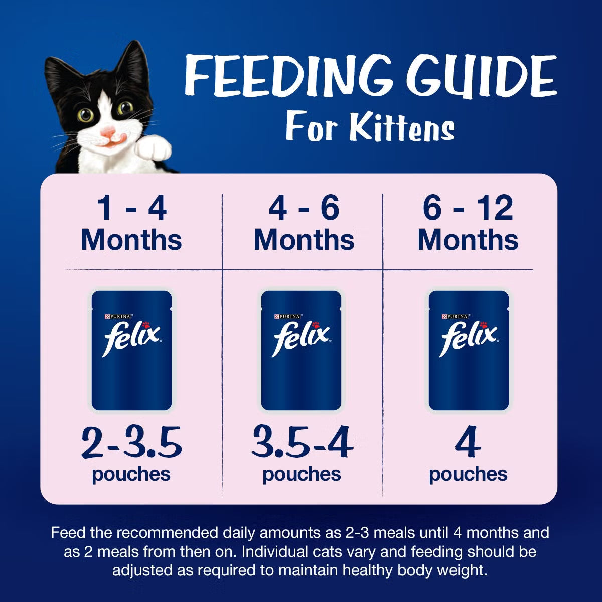Purina Felix Tuna with Jelly Kitten Wet Food