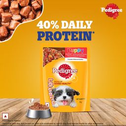 Pedigree Puppy Wet Dog Food Chicken and Liver Chunks Flavour 70 g
