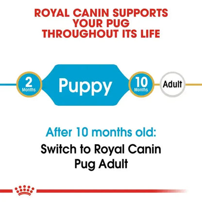 Royal Canin Pug Mini Puppy Dry Dog Food
