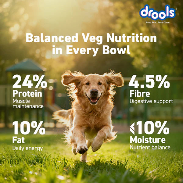 Drools 100% Vegetarian Puppy and Adult Dog Veg Dry Food
