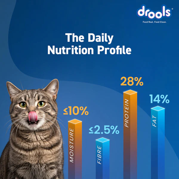 Drools Tuna & Salmon Adult Dry Cat Food