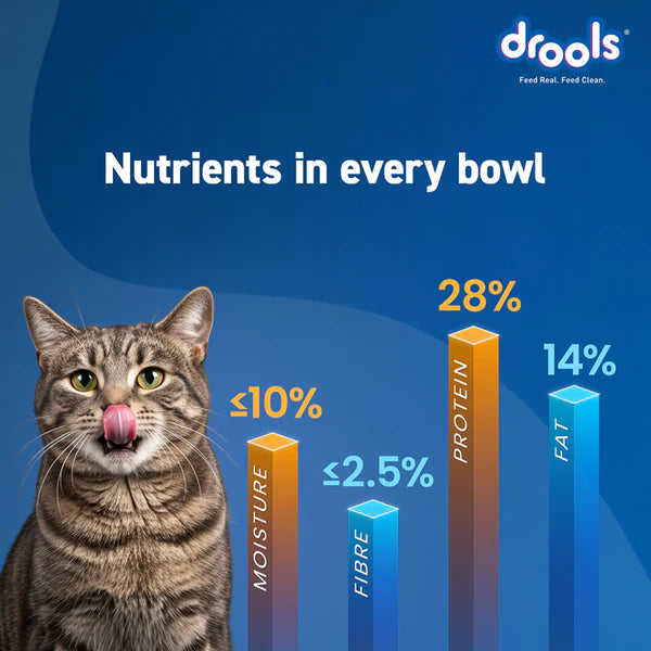 Drools Real Chicken Adult Cat Dry Food