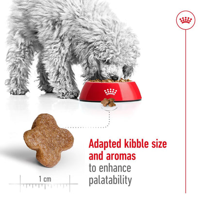 Royal Canin Mini Adult Dry Dog Food for 8+ Years Age