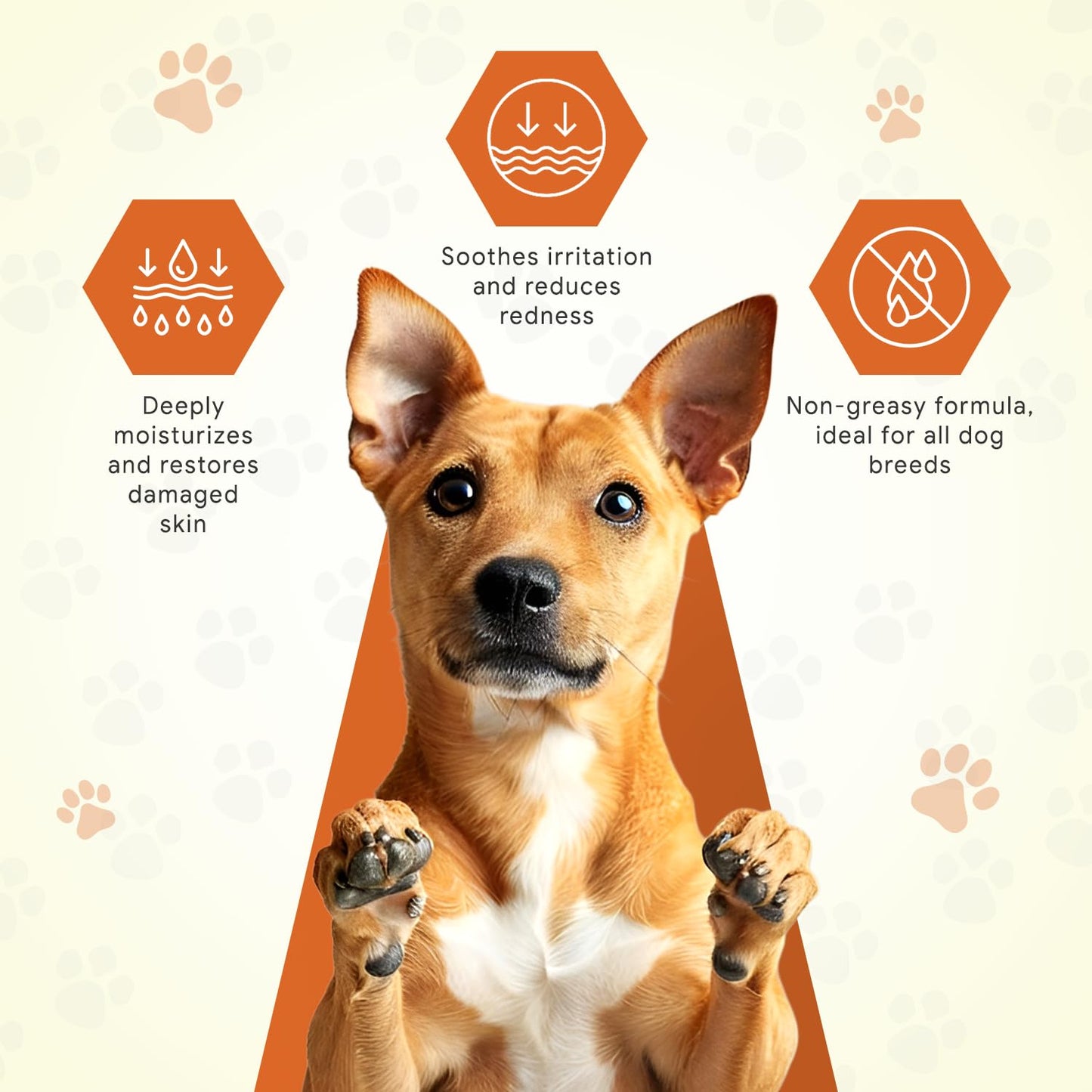 Dogz & Dudez Natural Mango Paw Butter Cream for Pets