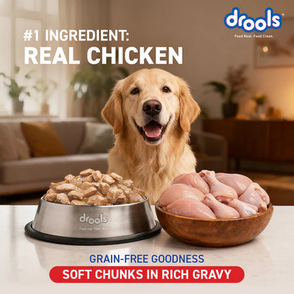 Drools Chicken Liver Chunks in Gravy Adult Dog Wet Food