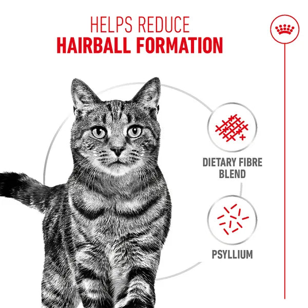Royal Canin Hairball Care Food for Adult Dry Cat Food