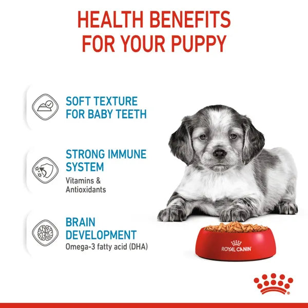 Royal Canin Medium Puppy Wet Dog Food