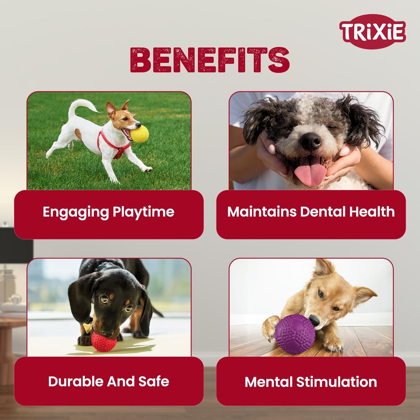 TRIXIE Sport Ball Natural Rubber Toy for Dog & Cat