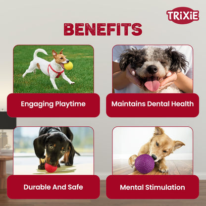 TRIXIE Sport Ball Natural Rubber Toy for Dog & Cat